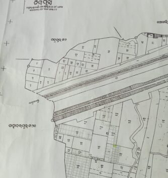 layout