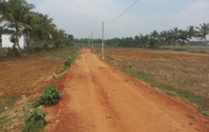 18711_malatipatapur_large_3