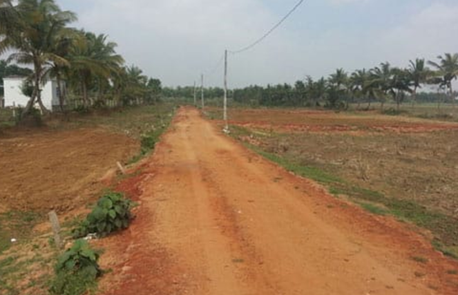 18711_malatipatapur_large_3