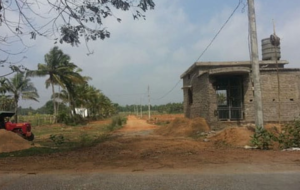 27703_malatipatapur_large_2